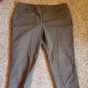 Gap Khaki in Green/grey